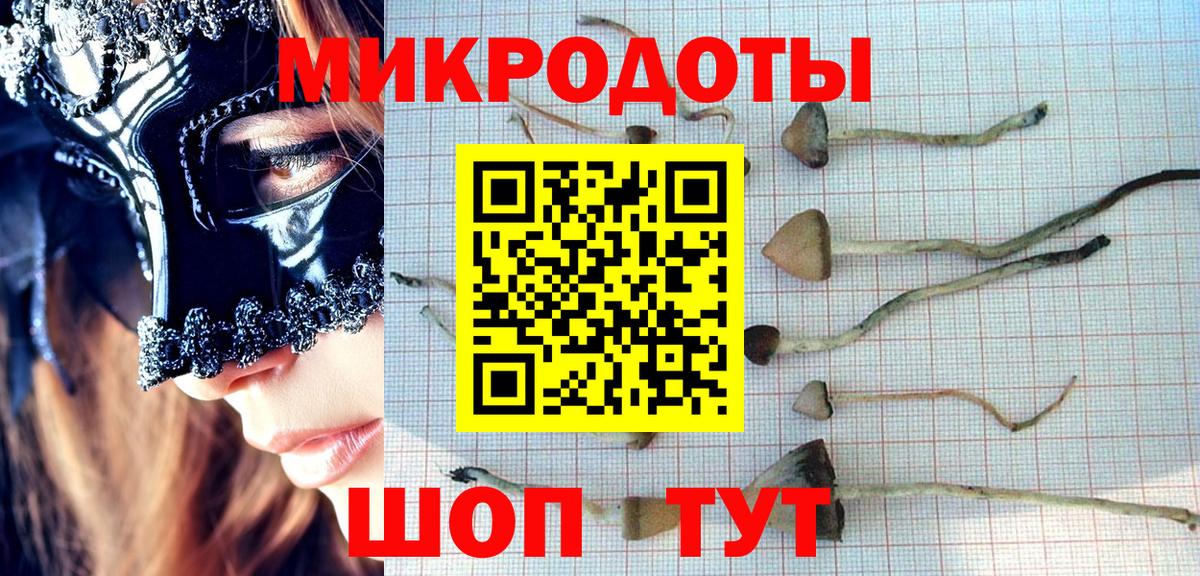 Псилоцибиновые грибы Psilocybe  Вход с VPN  Белая Калитва  Галлюциногенные грибы прущие грибы 