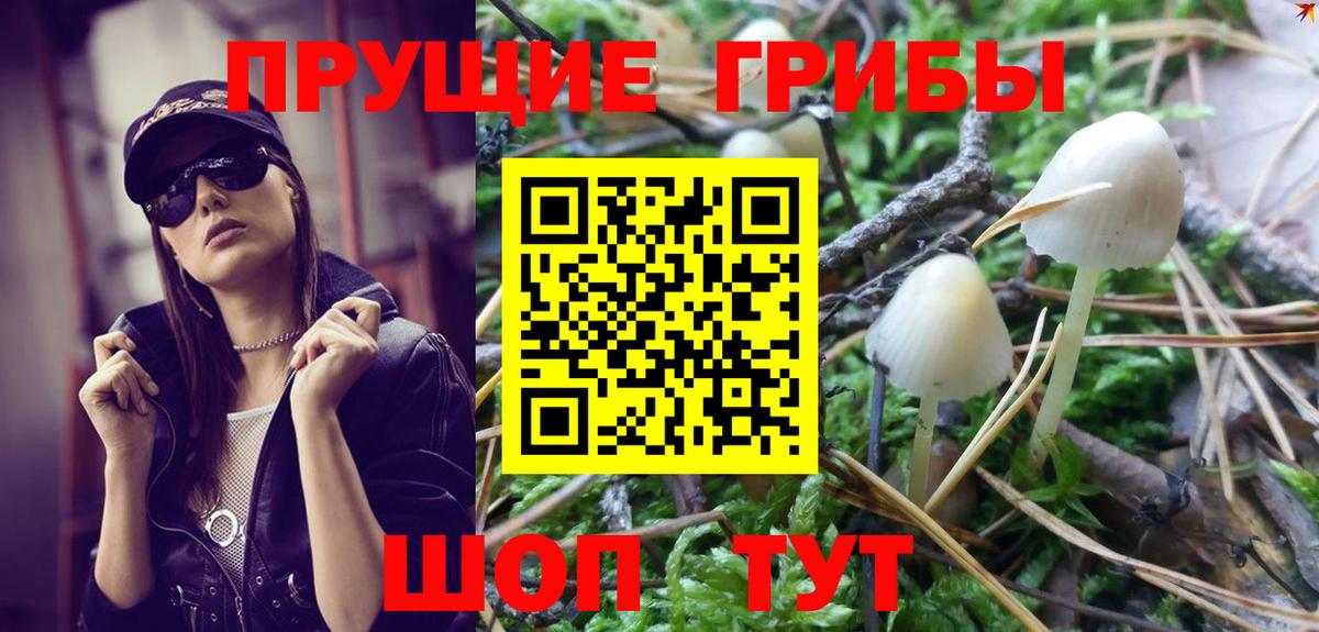 Псилоцибиновые грибы GOLDEN TEACHER Белая Калитва