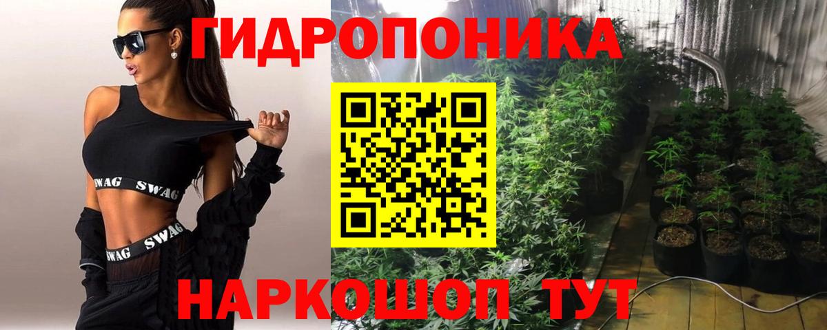 Конопля гибрид Белая Калитва